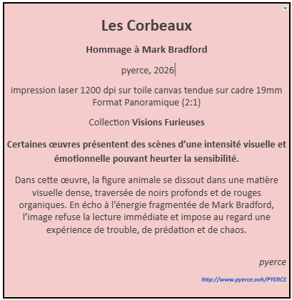 Cartel de Les Corbeaux